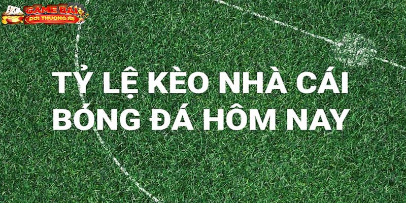 Giới thiệu tổng quan về soi kèo bóng đá hôm nay World Cup